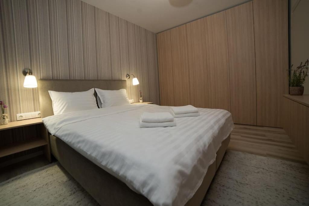 Carpe Diem Travel ทิมิชัวรา ภายนอก รูปภาพ